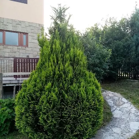 Smiljanic Guest house *