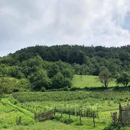 Guest house Smiljanic